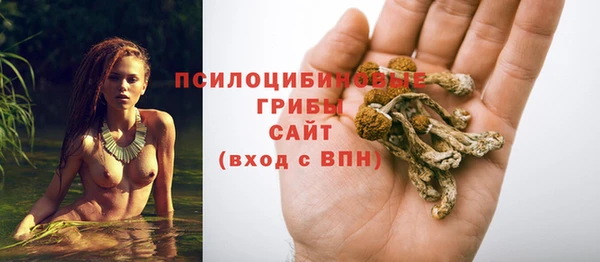 гидропоника Алзамай