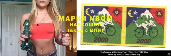 прущий лед Инсар