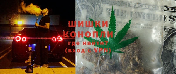 гидропоника Алзамай